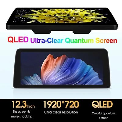 12.3'' QLED Screen 4G LTE Wifi DSP Carplay Android Auto 2Din Car Radio Per BMW/Benz/Audi Universal